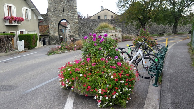 [Image: lang-mang-hoa-no-khap-noi-quanh-ngoi-nha-da-2.jpg]