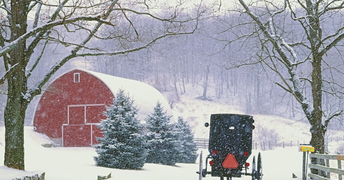 Amish Christmas at North Star by Cindy Woodsmall, Mindy Starns Clark