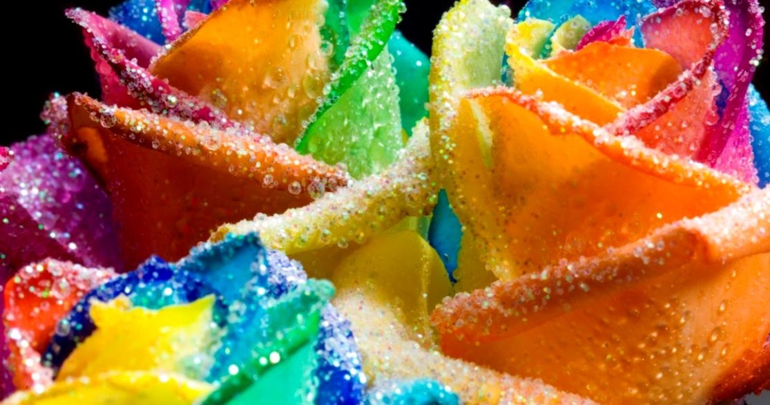 Rainbow Rose Wallpaper | Wallpapers Gallery