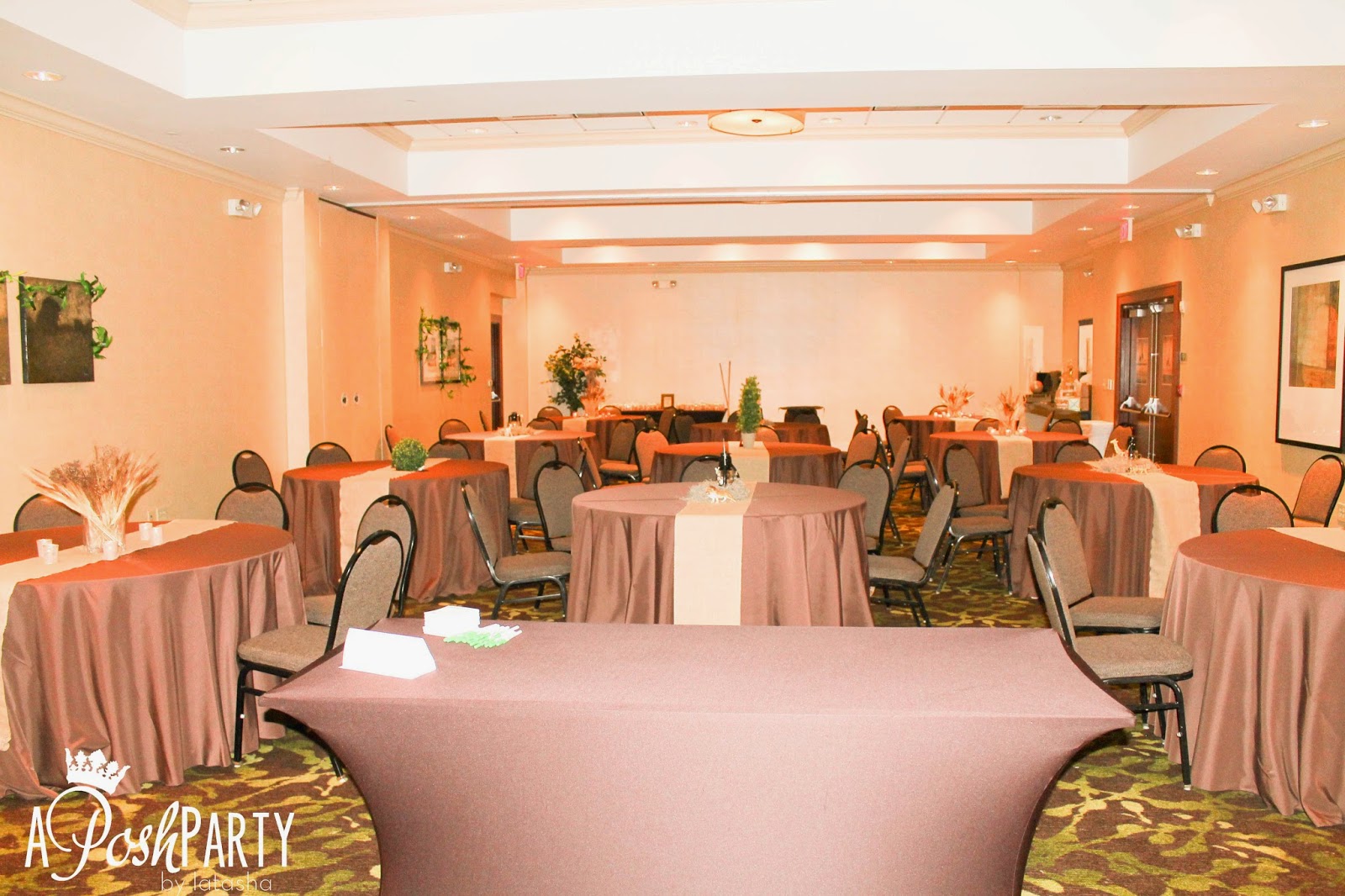 The Posh Pages Atlanta Memphis Baby Showers Jungle Safari