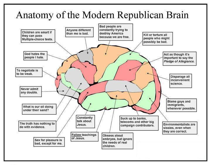 teaparty%2Bbrain_n.jpg