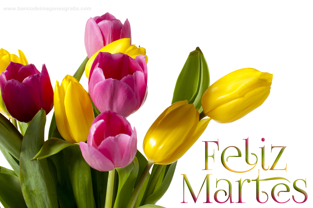 Resultado de imagen de buen martes con flores