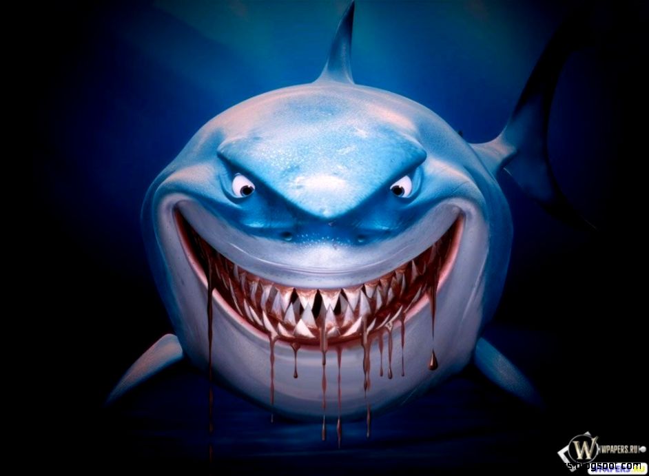 Shark Hd Wallpaper 3D Wallpapers Collection Shark Hd Wallpaper 3D Wallpapers Collection