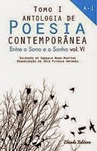 ANTOLOGIA DE POESIA CONTEMPORÂNEA - ENTRE O SONO E O SONHO - VI