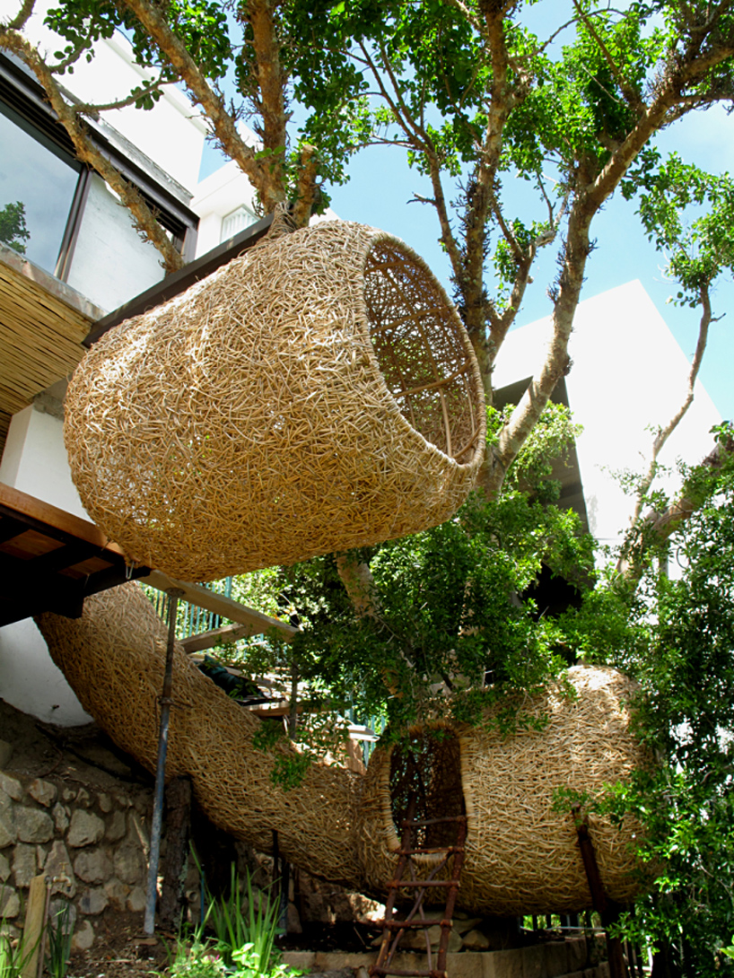 paradis express Human Nest