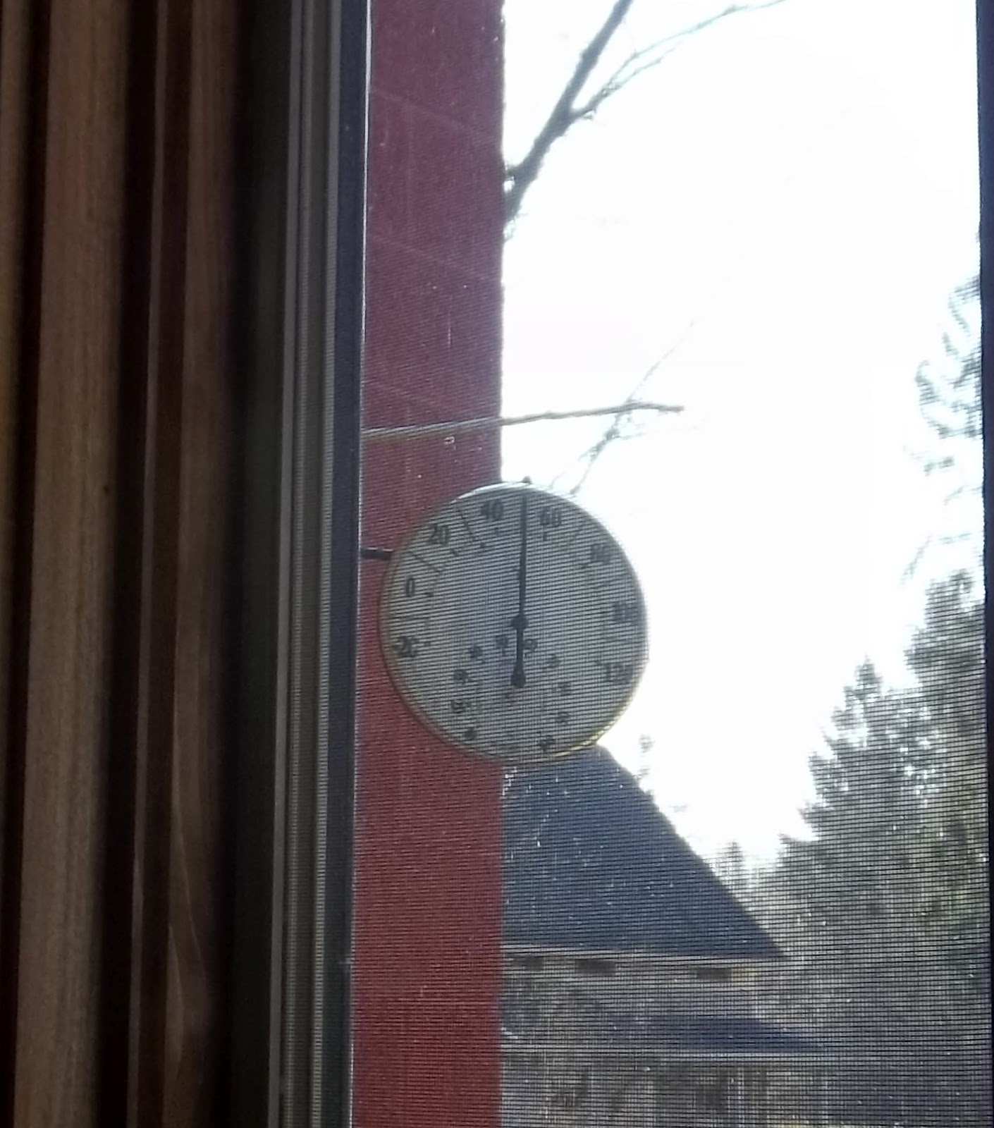 Cup on the Bus Vermont weather stick and other signs of spring