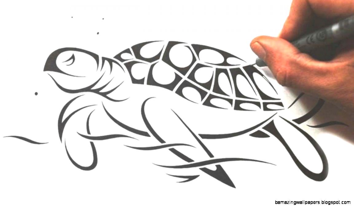 How to Draw a Sea Turtle   Tribal Tattoo Design Style   YouTube How to Draw a Sea Turtle   Tribal Tattoo Design Style   YouTube