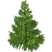 deco_alps_village_silver_fir_icon75