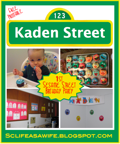 SC LIFE as a WIFE: Sesame Street Party - 1st Birthday
