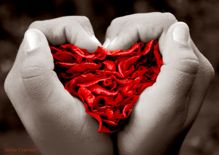 ver imagenes de amor online