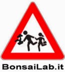http://www.bonsailab.it/