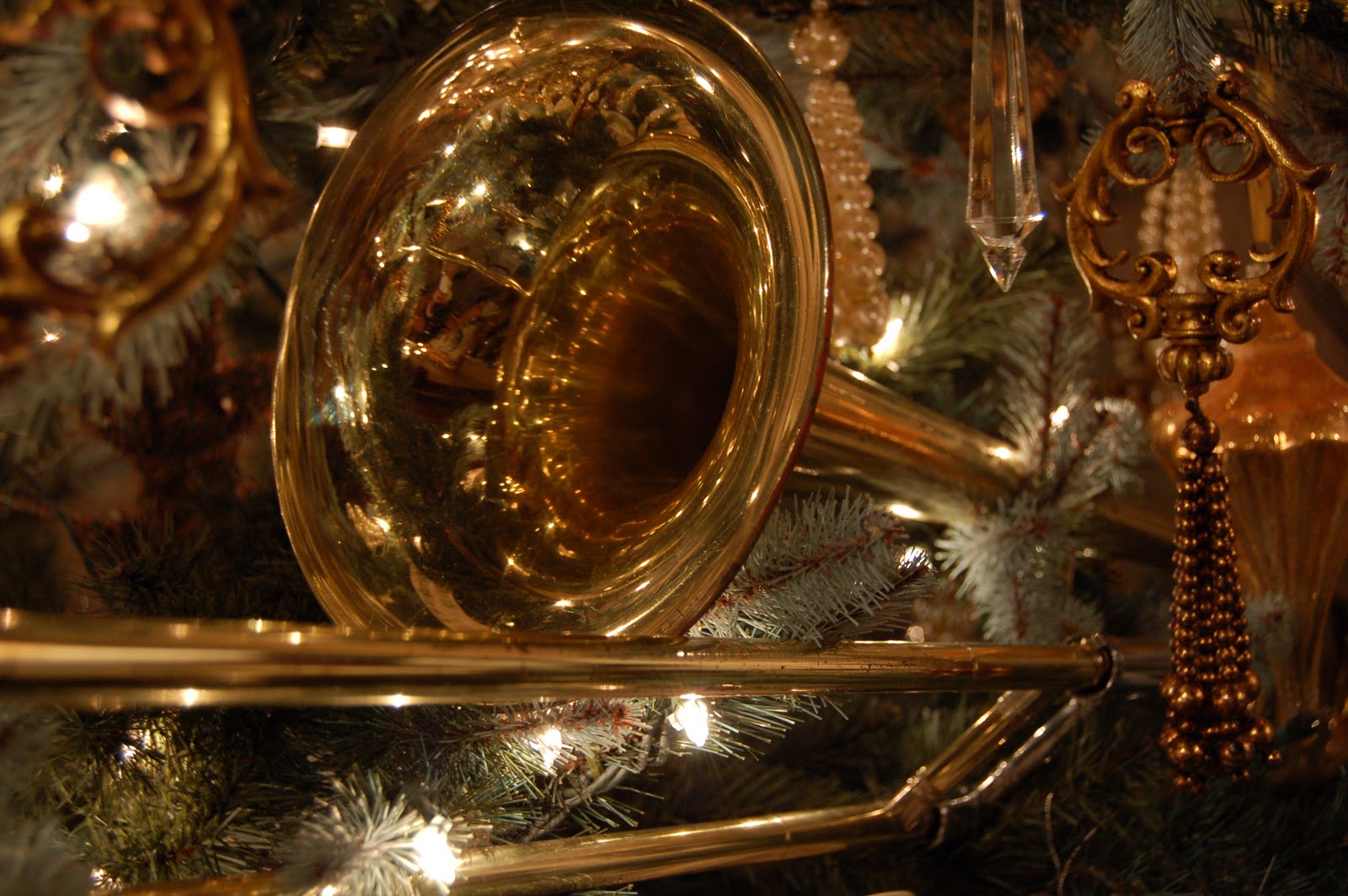 Today's Treasure by Jen: December 2011