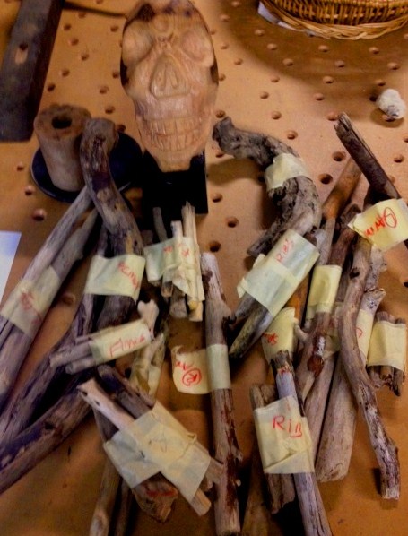 Stephanie Brockway: The Making of a Driftwwod Skeleton Puppet