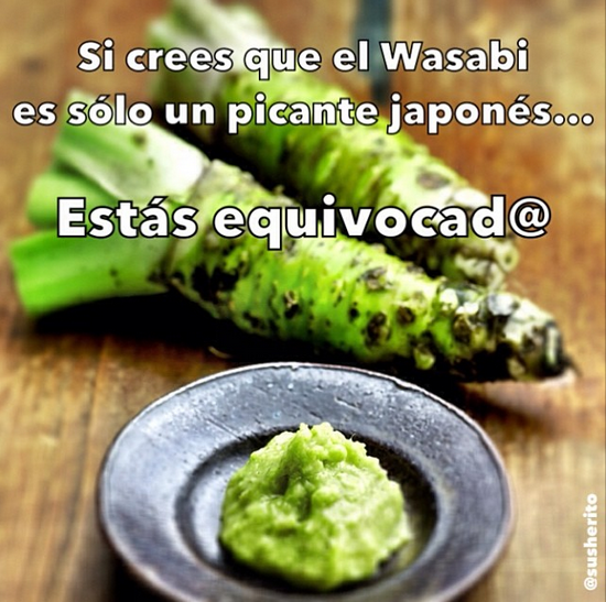 El Wasabi