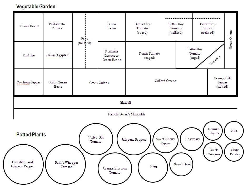 vegetable garden templates