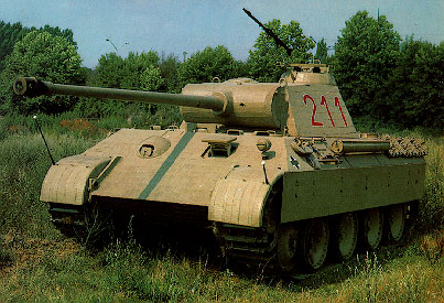 The Land O Misfit Toys: To Paint a Panther