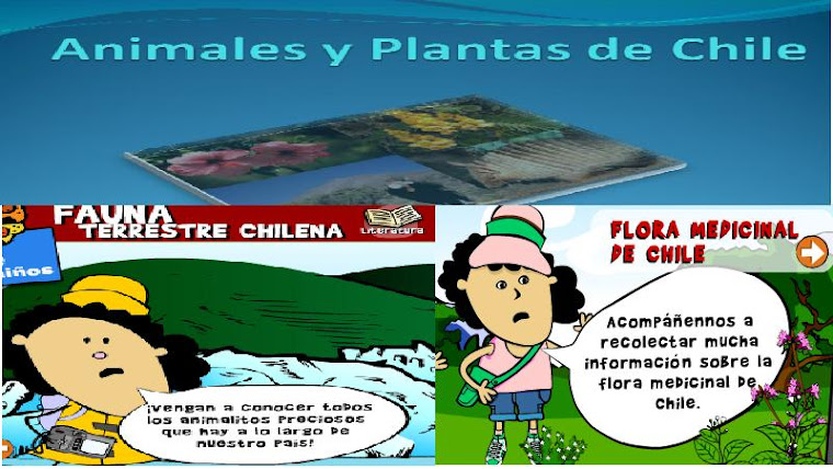 Animales y Plantas chilen@s