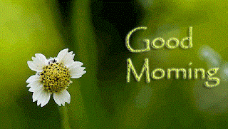 twitter good morning images good morning images facebook