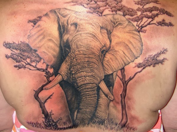Tattoos For Girls Elephant Tattoo Design Idea Images Photos