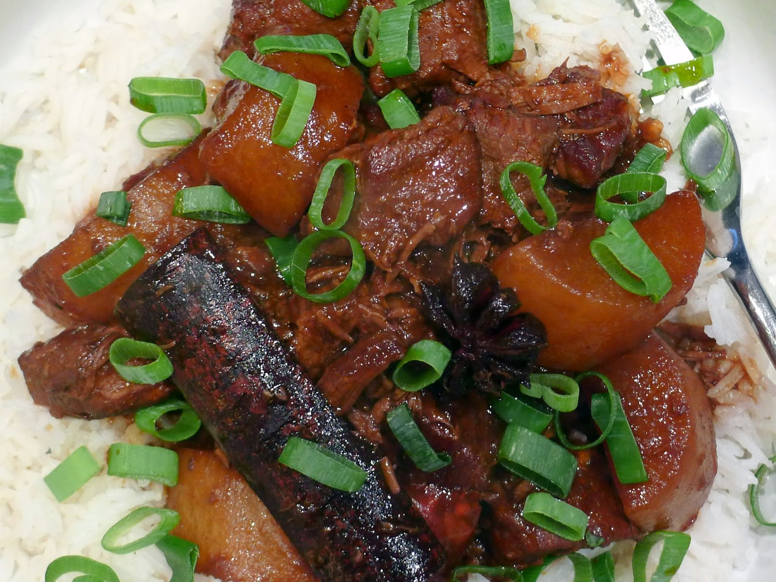 Culinary Adventures in London Beef Braised with Daikon