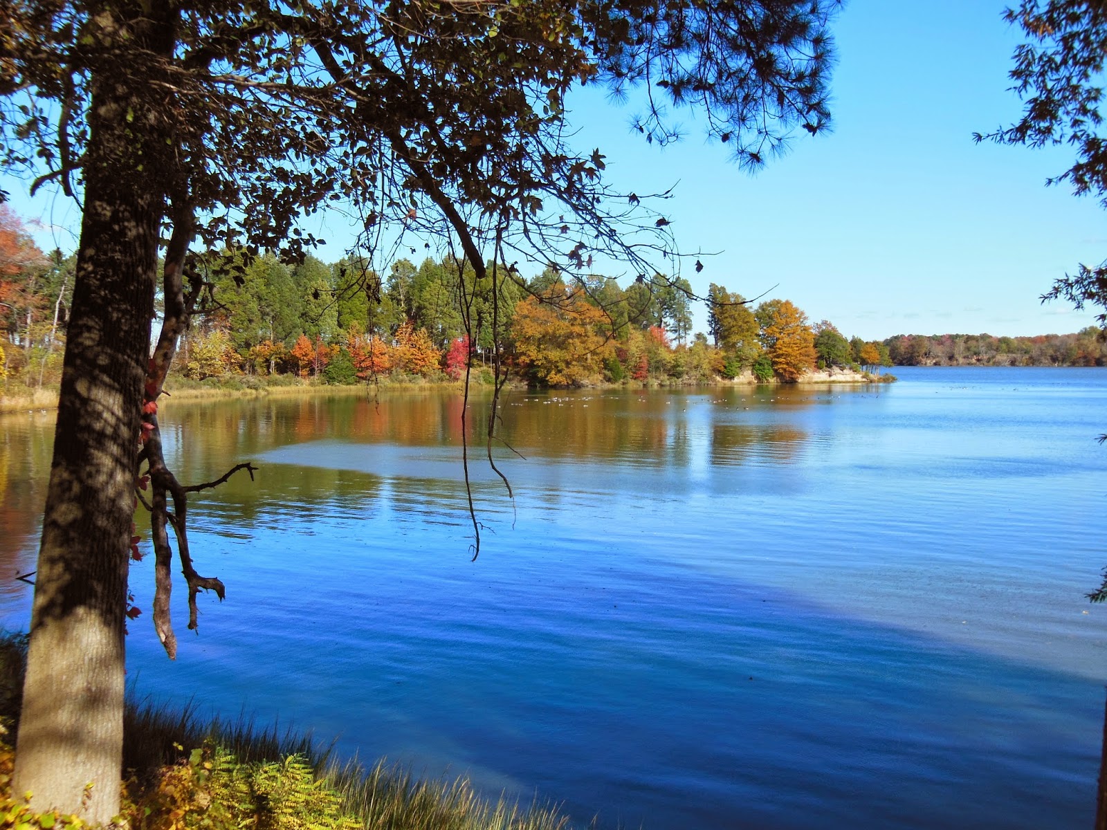 Spirit Journey 20131103 Washington Birthplace National