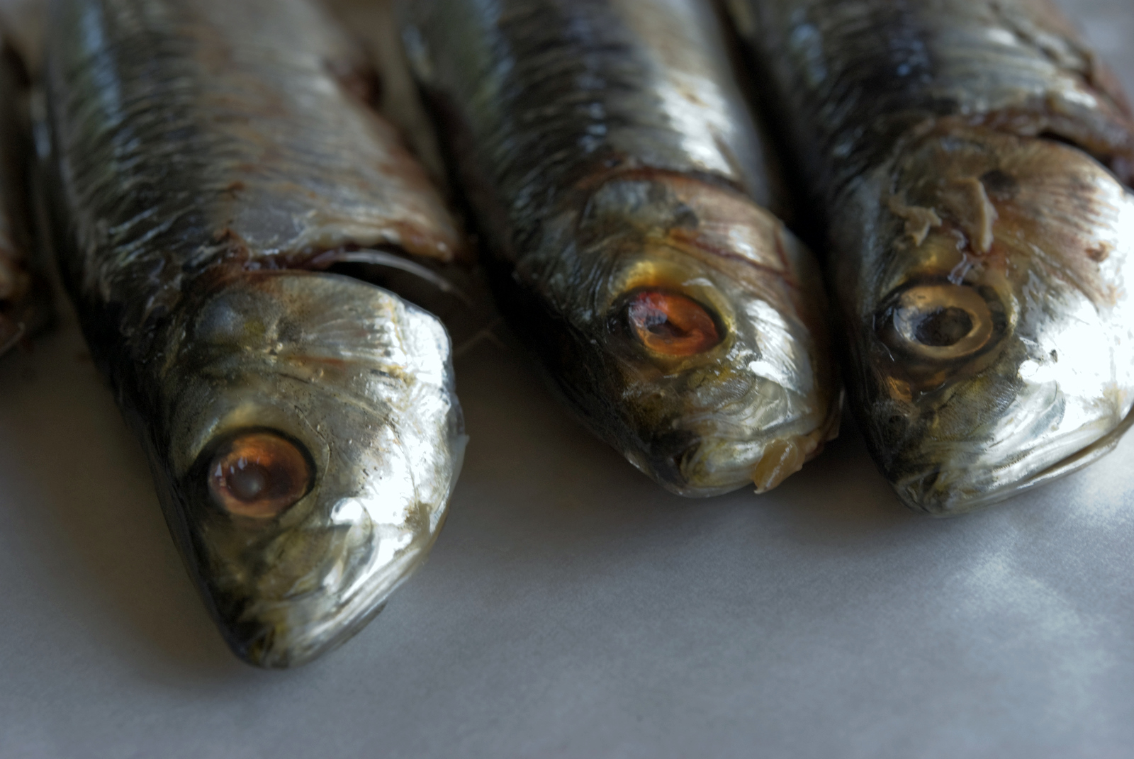 Wild Greens and Sardines Marinated Sardines in OilVinegar and Mint
