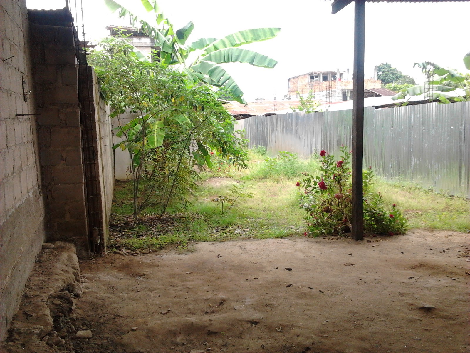 pisos la selva del c venta de terreno con casa en tarapoto selva san martin pisos la selva del c venta de terreno con casa en tarapoto selva san martin