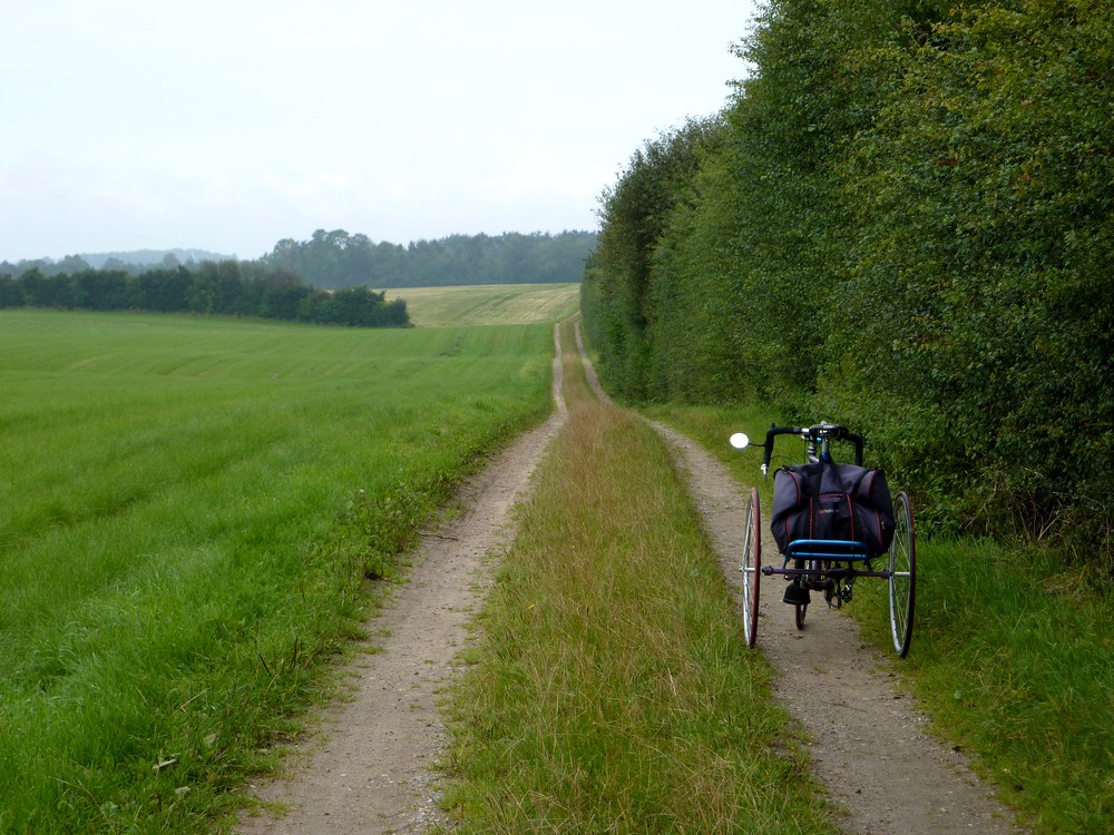 Canvas+rider+track+codes