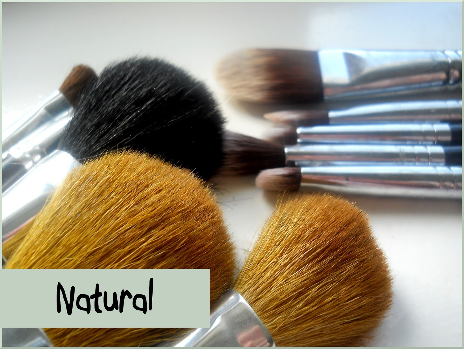 Beauty Bucket List Natural v Synthetic Brushes What's the Difference?