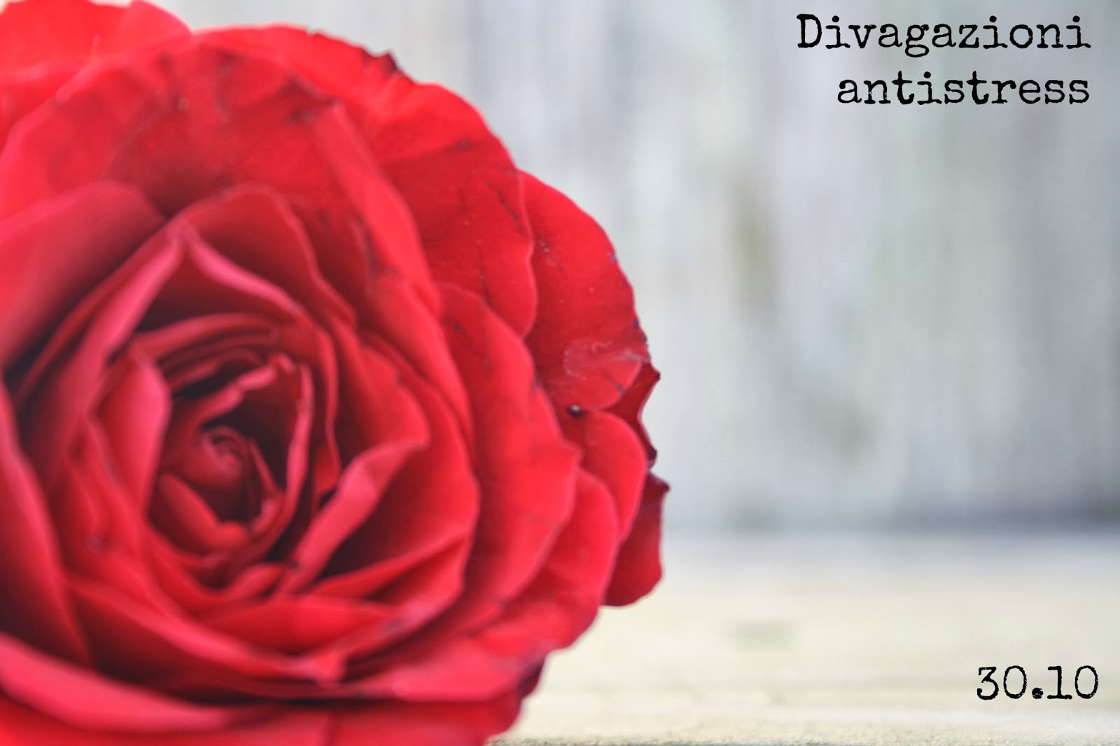 DIVAGAZIONI ANTI-STRESS: MY OCTOBER IN SHOTS