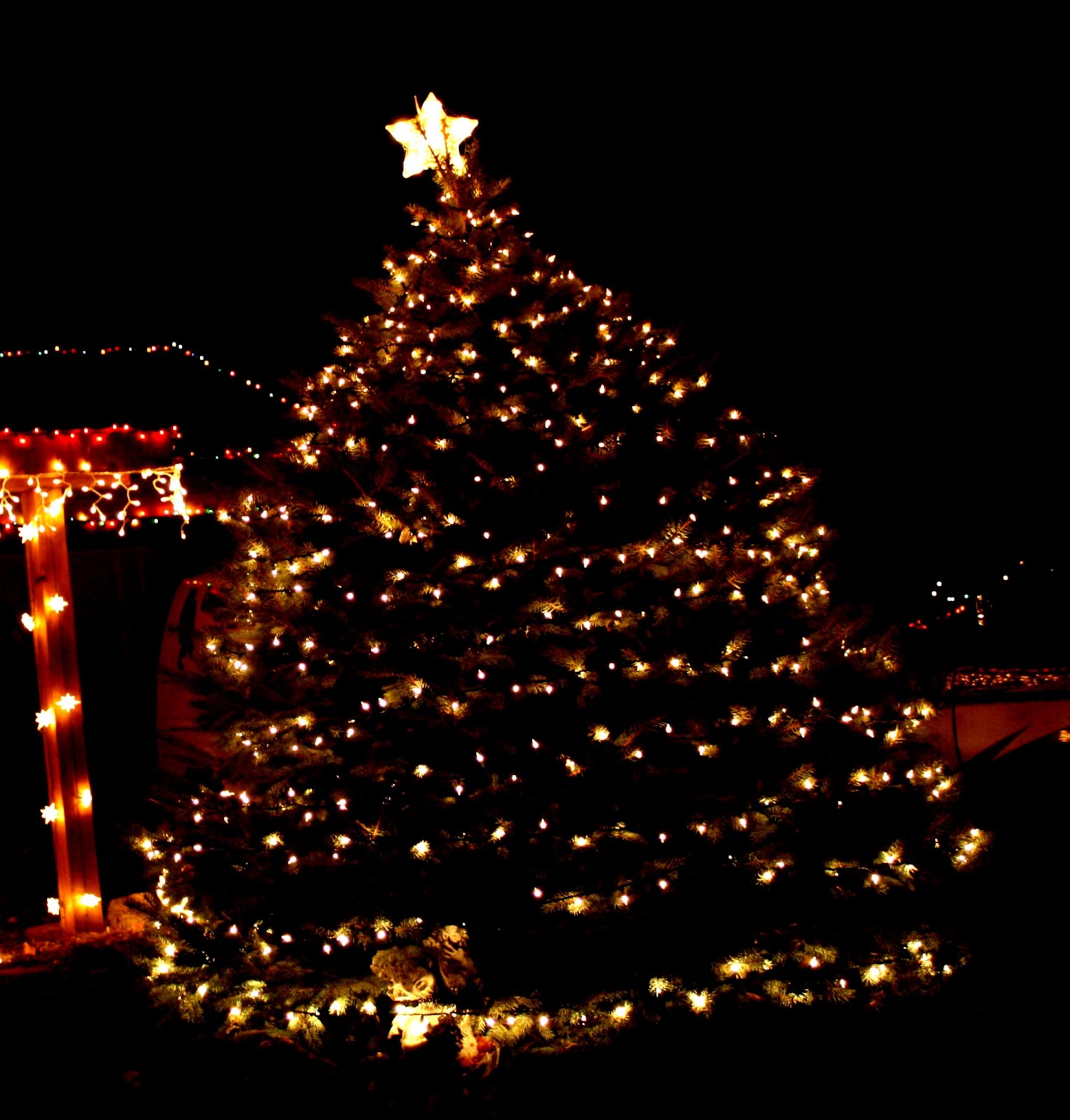 Christmas Tree With Light