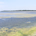 Bundala National Park