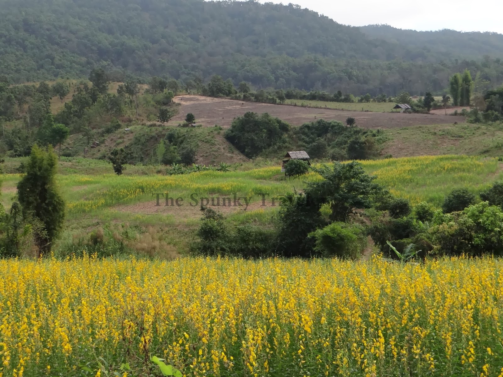 Pai Northern Thailand