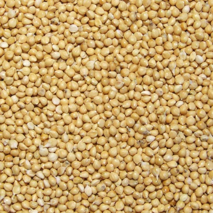 Apple Cinnamon Millet Cereal Danielle's Daily Discoveries