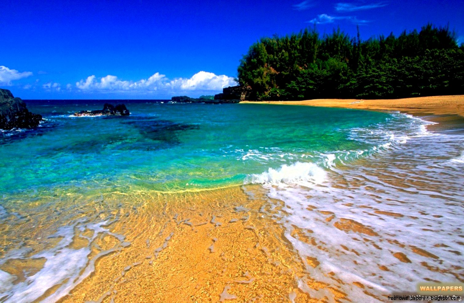 Free Wallpaper Hawaii Beach Scenes Best Free Wallpaper Free Wallpaper Hawaii Beach Scenes Best Free Wallpaper