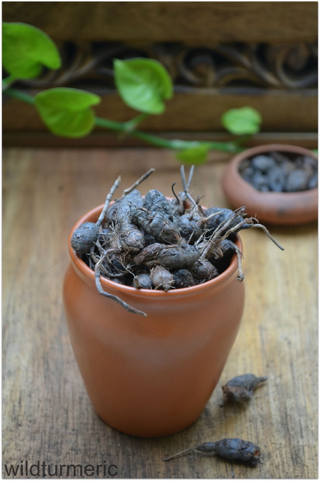 5 Top Benefits & Uses Of Nagarmotha | Korai Kizhangu | Cyperus Rotundus |  Musta Herb - Wildturmeric