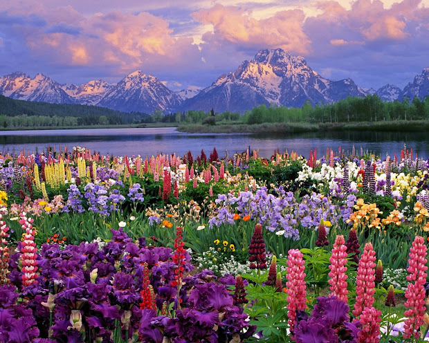 godtoldmetonoise spring mountain