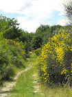 LA NOSTRA TOSCANA