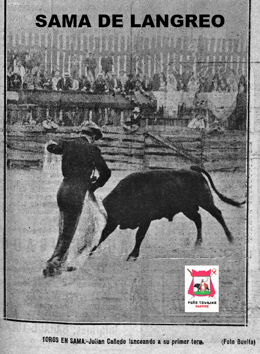 sama de langreo toros