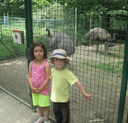 So, Parc Merveilleux, in Three Parts: Part 1: Animals (img )