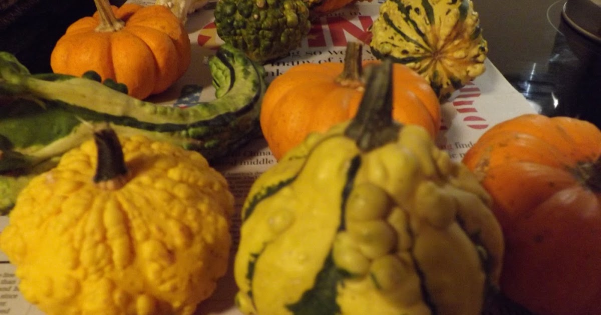 HOME FOOD GARDEN Drying Gourds