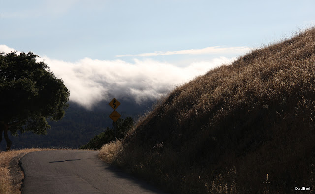 Marin layer vers Redwood City