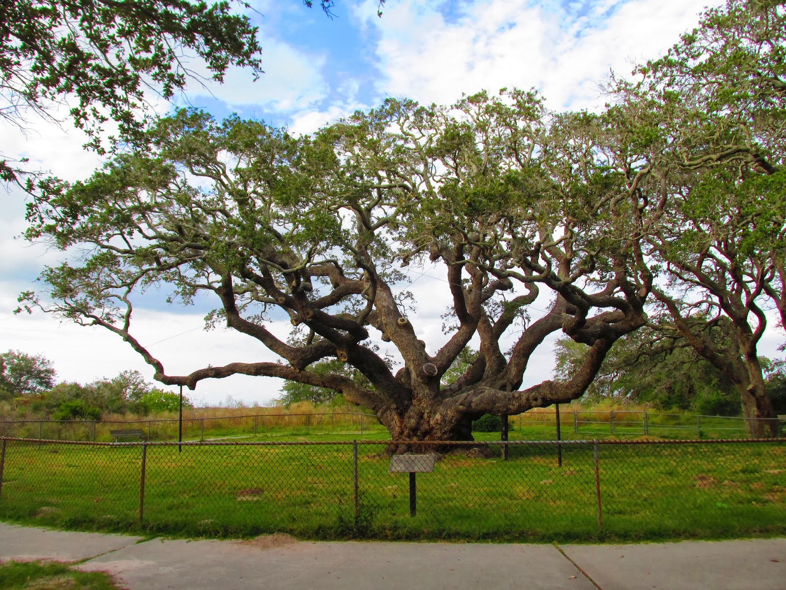 Touring America 2018 Rockport, Texas