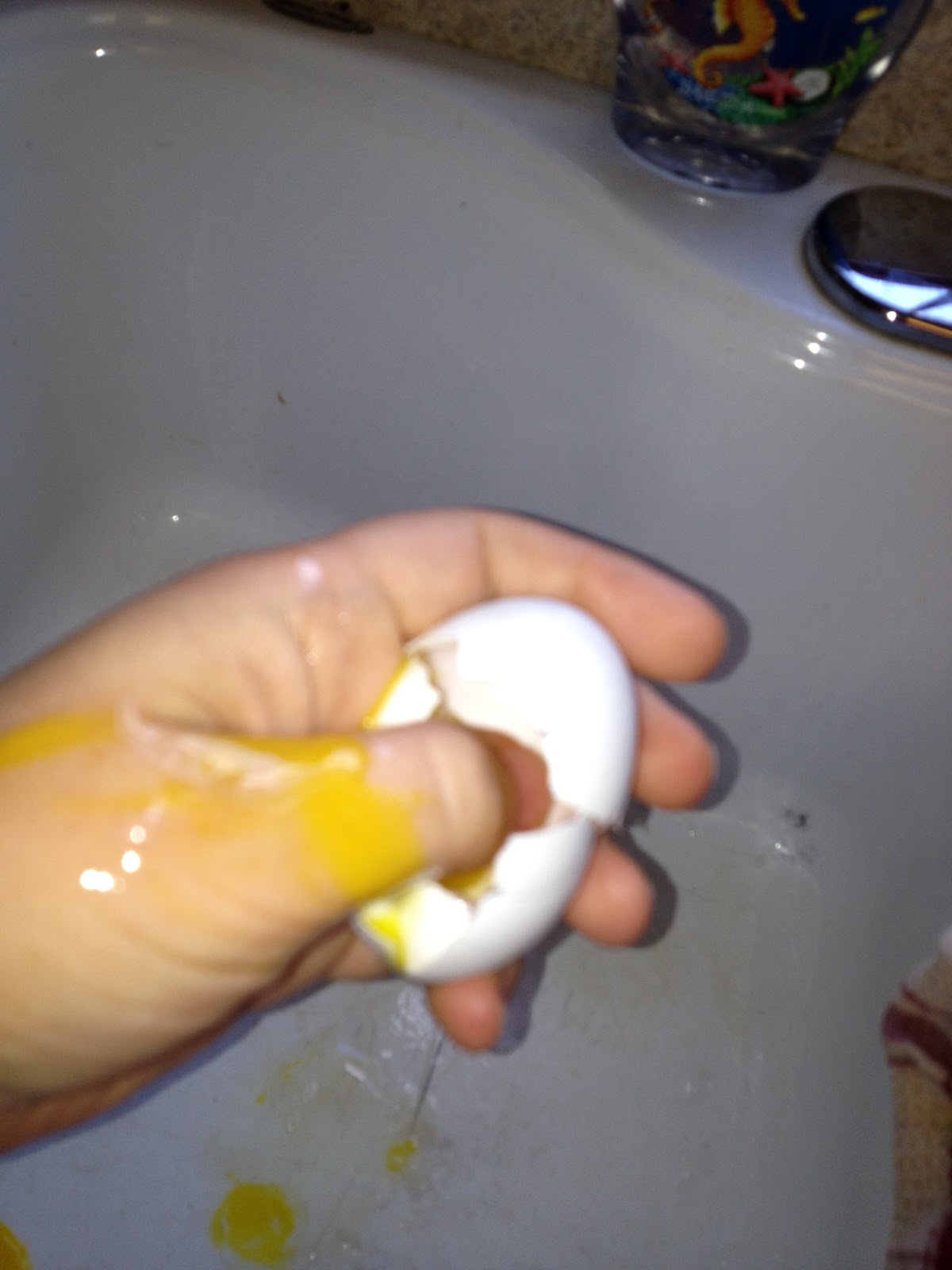 The Cover and Title Page VBS Object Lesson Gentleness