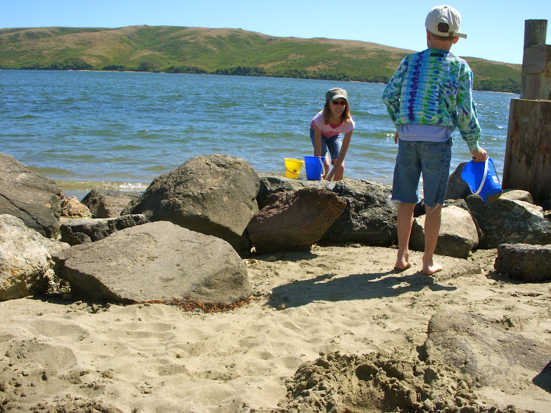 Honey's Treasures Camping Trip to Dillon Beach
