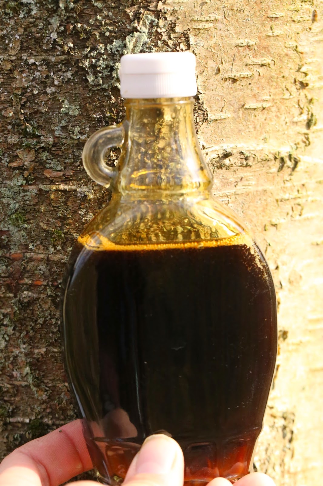 Wild Harvests Birch Maple's sappy boyfriend