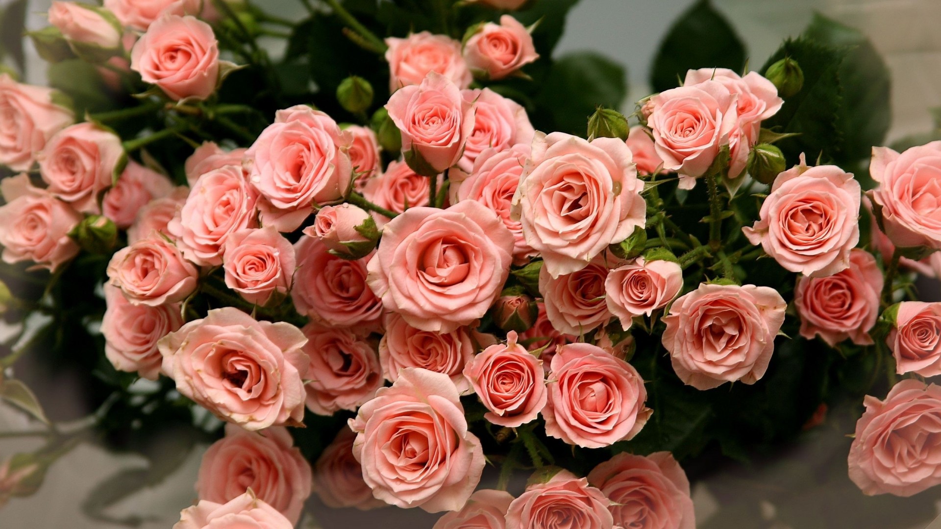 Ramo de Rosas Rosadas Full HD en Fondos 1080