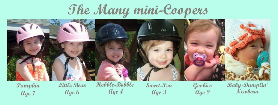 Mom of Many mini-Coopers
