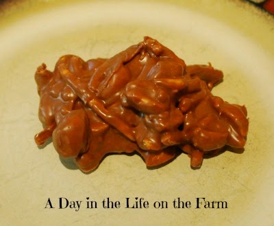 A Day in the Life on the Farm: A Peanutty Treat for #Foodie Extravaganza