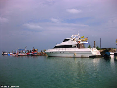 New and old style Samui next to each other